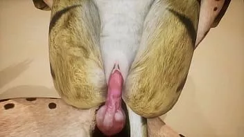 Riproduci La iena maschio si accoppia con la iena femmina e finisce sul suo viso - fauna selvatica