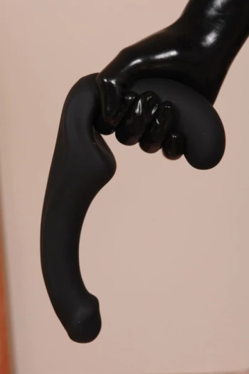 Gwiazda porno Shiny Lily